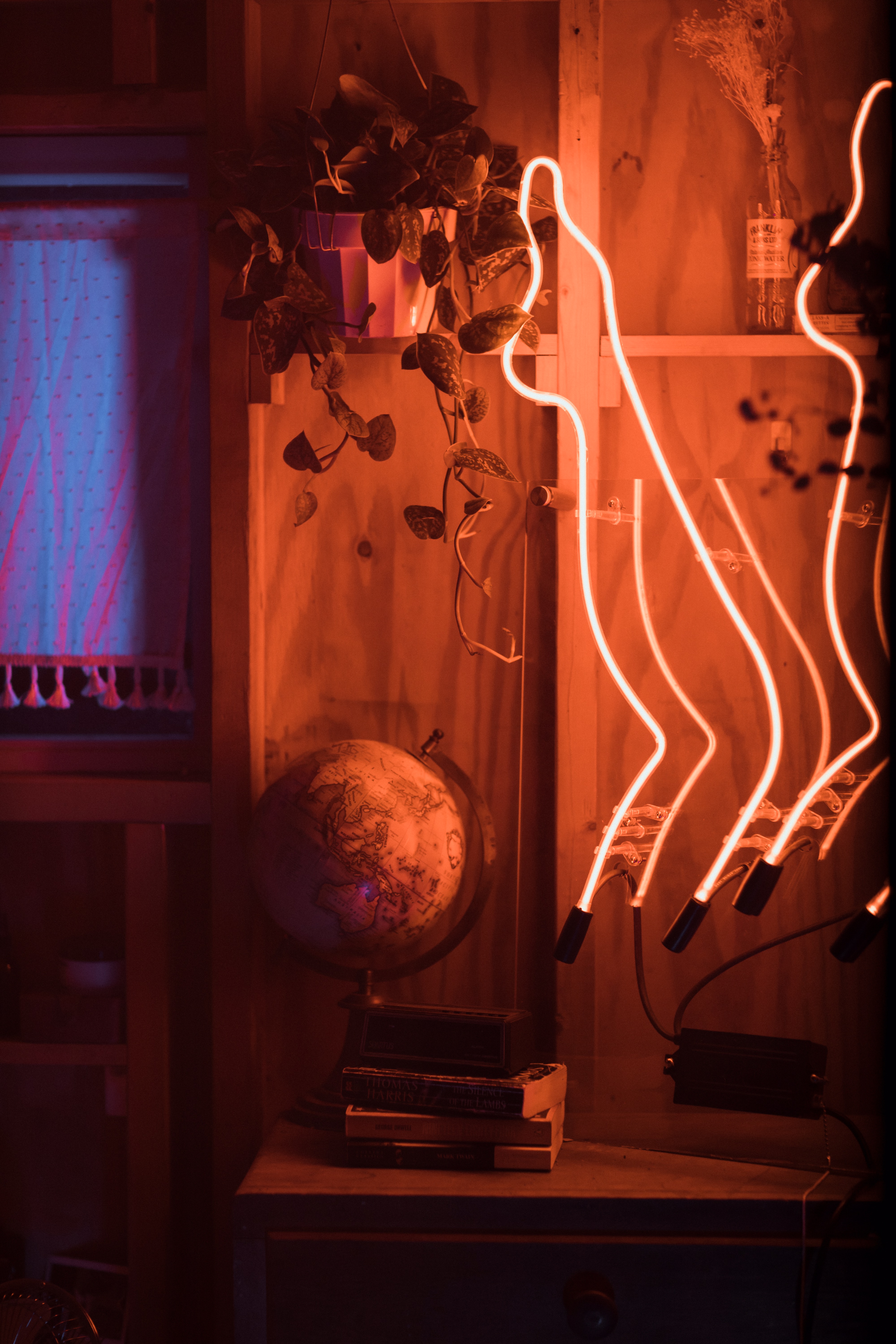 Electric Winter — neon detail by Dani Bonnet, Los Angeles